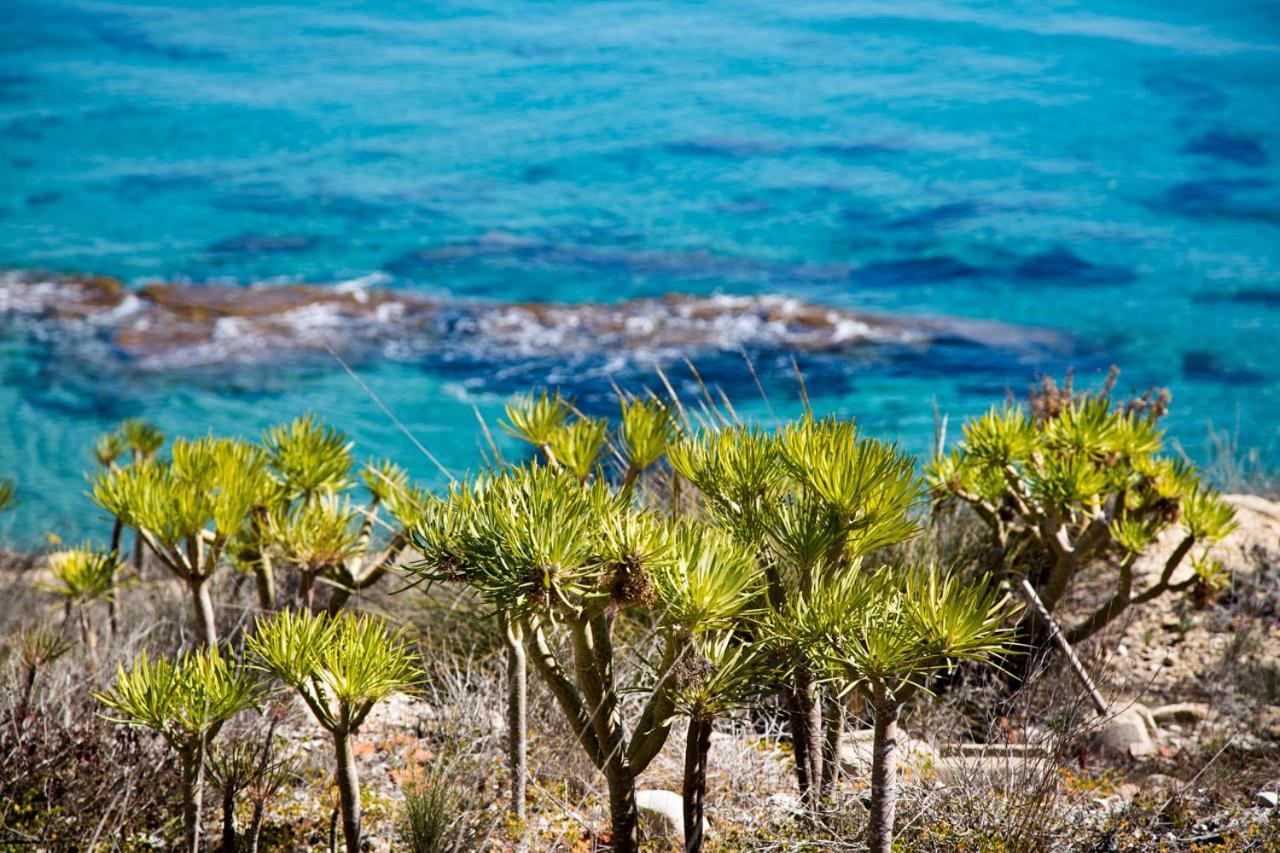 Calanuza Villa El Campello Bagian luar foto